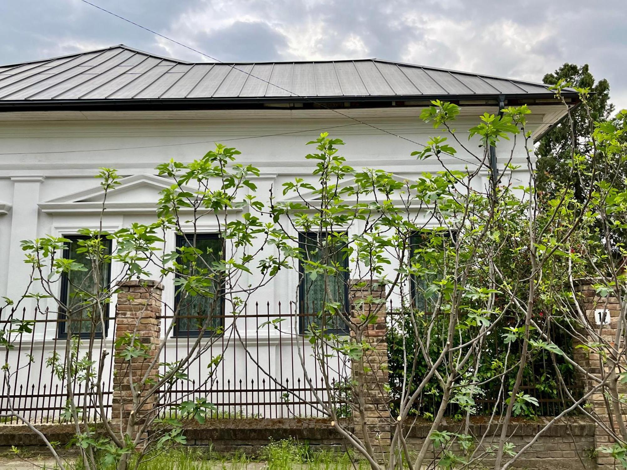 Wagner Villa 902 With Free Private Parking Boedapest Buitenkant foto