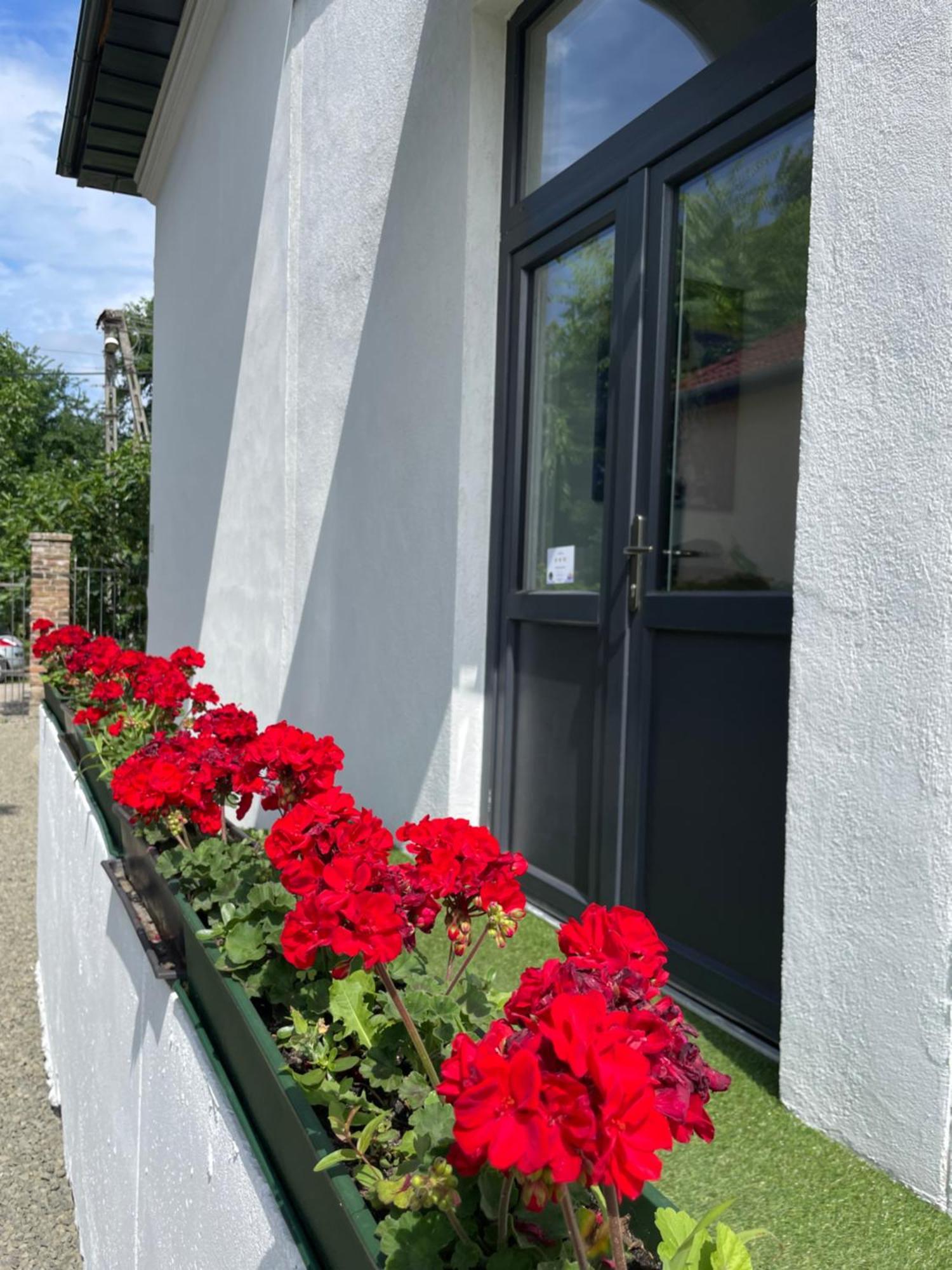 Wagner Villa 902 With Free Private Parking Boedapest Buitenkant foto