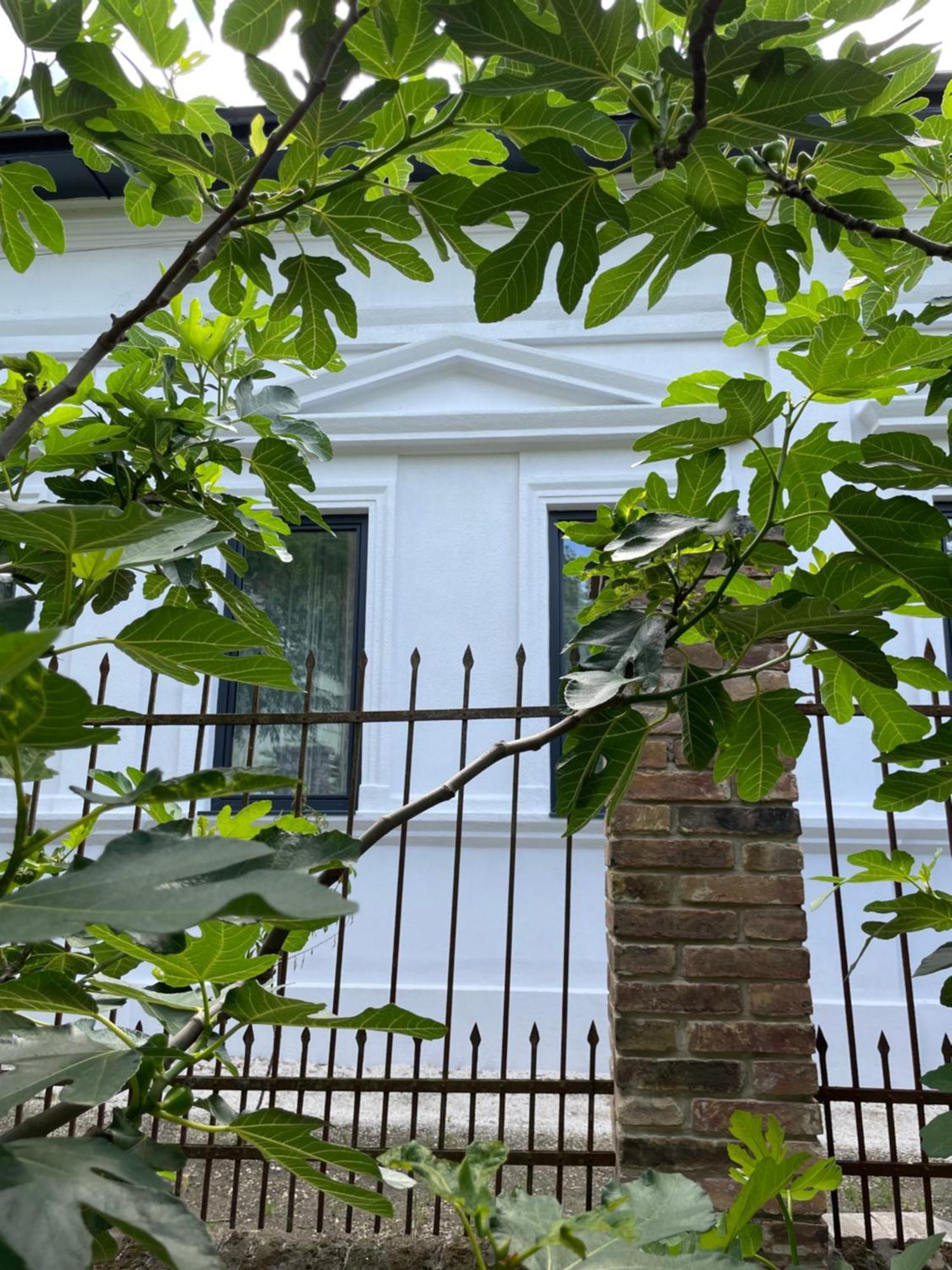 Wagner Villa 902 With Free Private Parking Boedapest Buitenkant foto